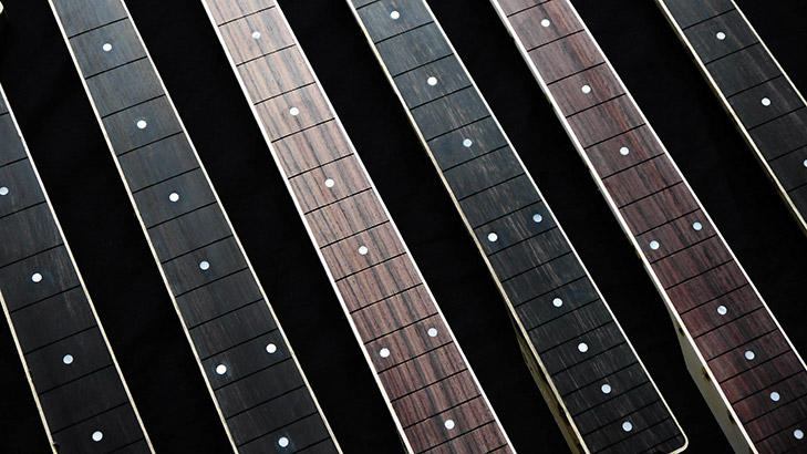 Inlaid Fretboard